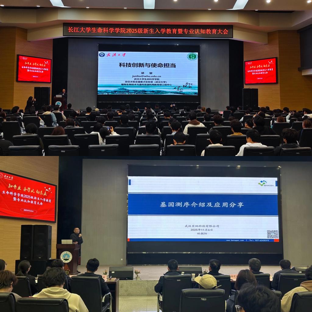 球王会平台,球王会网站