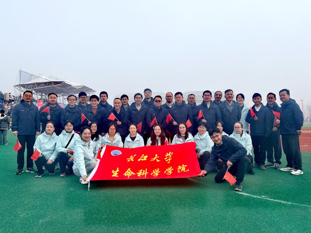 球王会平台,球王会网站